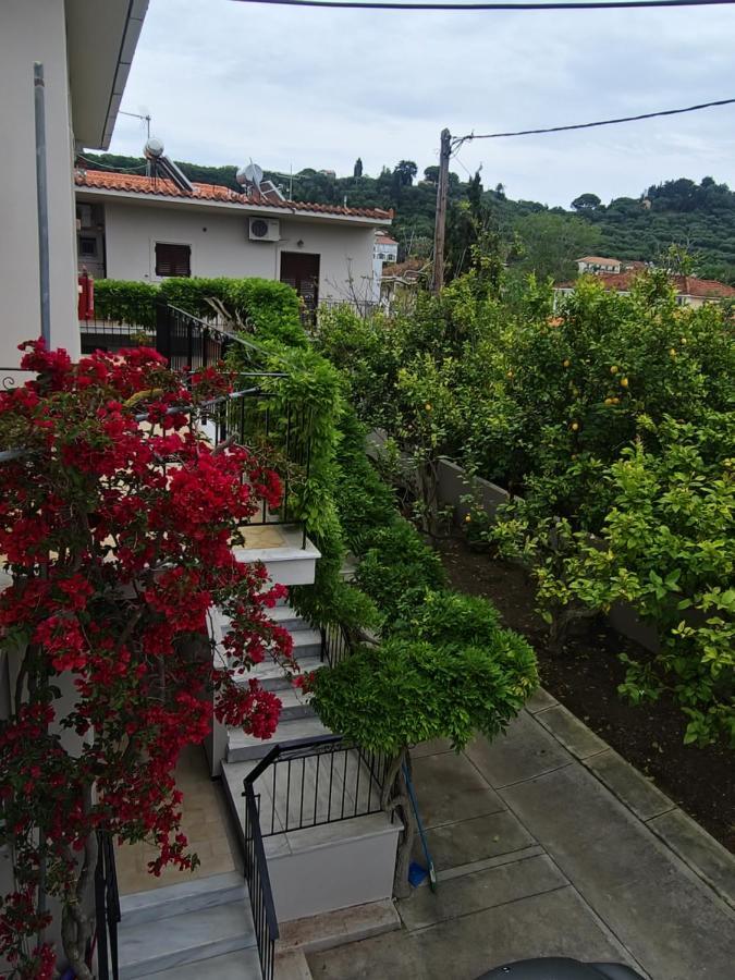 Blu Apart/hotel Tsilivi (Zakynthos)